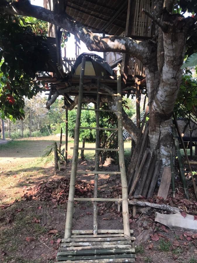 Hotel Amando_Tent Phayao Exteriér fotografie